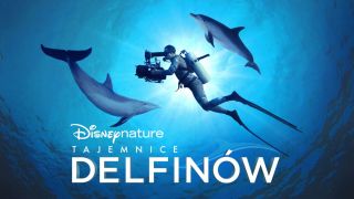Tajemnice delfinów