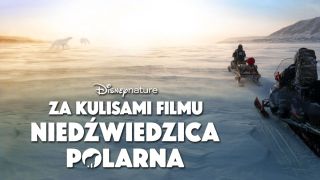 Za kulisami filmu „Niedźwiedzica polarna”