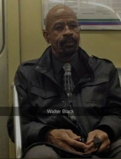 Bryan Cranston - Walter White z serialu Breaking Bad (Walter Black)