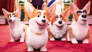 Corgi, psiak królowej