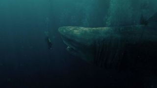 18. Meg 2: Głębia - 375 mln USD