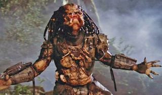 34. Predator - 2,3 m