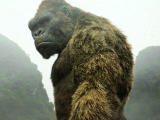 15. King Kong (Kong: Wyspa Czaszki) - 31,7 m