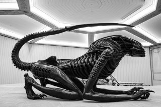 38. Ksenomorf (Obcy) - 2 m