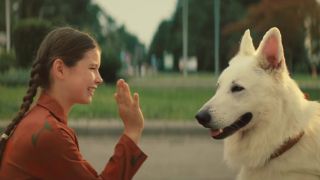 5. O psie, który jeździł koleją - 14 039