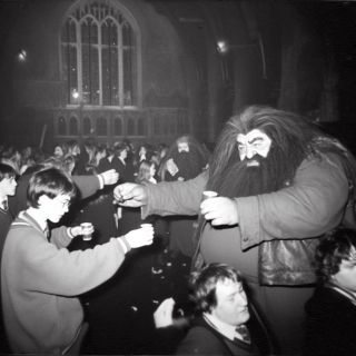Hagrid Harry