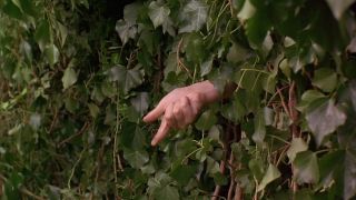 13. Tajemniczy ogród (1993 - W serwisie Ranker na 13. miejscu na liście znajdował się film „Tajemniczy ogród” z 2020 roku, lecz opis produkcji błędnie wskazywał jako jej reżysera Francisa Forda Coppolę. Skontaktowaliśmy się w tej sprawie z osobami prowadzącymi witrynę: w rzeczywistości na 13. miejscu uplasował się „Tajemniczy ogród” z 1993 roku, którego reżyserką była Agnieszka Holland, a Coppola jednym z producentów. Choć film jest koprodukcją amerykańsko-brytyjską, Ranker brał go pod uwagę poprzez narodowość reżyserki.)