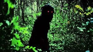 55. Wujek Boonmee, który potrafi przywołać swoje poprzednie wcielenia (2010 - Tajlandia/Hiszpania/Niemcy/Wielka Brytania/Francja/Holandia)