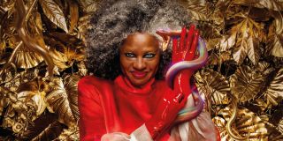 Ballada ptaków i węży