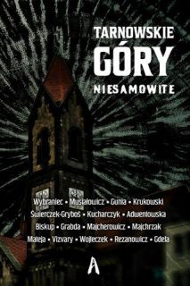 Tarnowskie Góry niesamowite - okładka