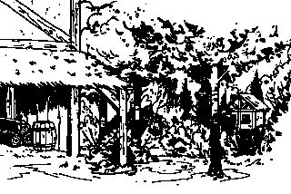 Root - grafiki z gry