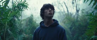 12. Królestwo zwierząt