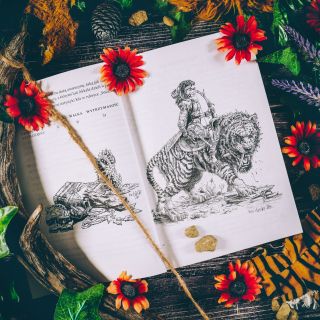 Nibylandia. Tu żyją potwory! - wygląd gry