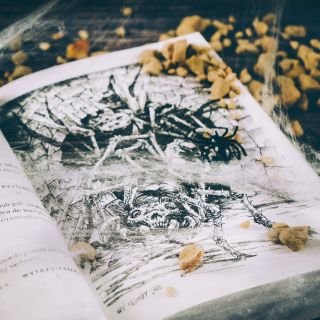 Nibylandia. Tu żyją potwory! - wygląd gry