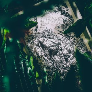 Nibylandia. Tu żyją potwory! - wygląd gry