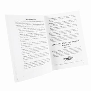 Nibylandia. Tu żyją potwory! - wygląd gry