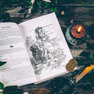 Nibylandia. Tu żyją potwory! - wygląd gry