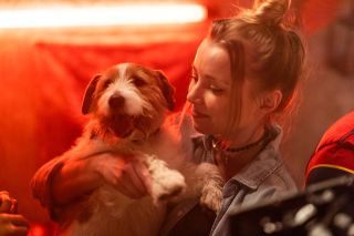 canal+ seriale nowości