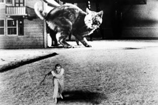 92. Człowiek, który się nieprawdopodobnie zmniejsza (1957)