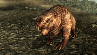 Fallout 3