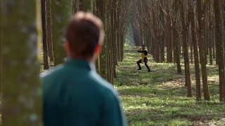 Johnny Cage vs. Skorpion (Mortal Kombat - 1995)