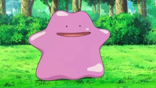 Ditto – 0,3 m