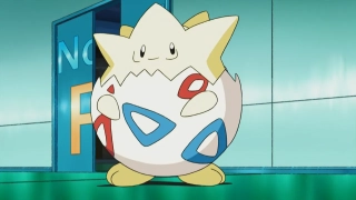 Togepi – 0,3 m