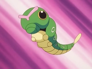 Caterpie – 0,3 m
