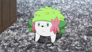Shaymin – 0,25 m