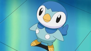 Piplup – 0,4 m