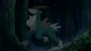 Cobalion - 2,1 m