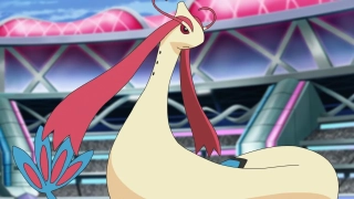 Milotic – 6,2 m