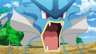 Gyarados – 6,5 m