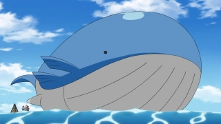 2. Wailord – 14,5 m