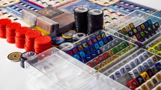 Too Many Bones - zdjęcia gry