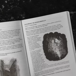 W mroku wieży - wygląd