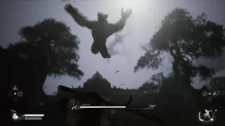 Black Myth: Wukong