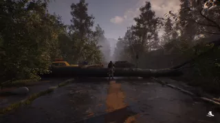 A Quiet Place: The Road Ahead