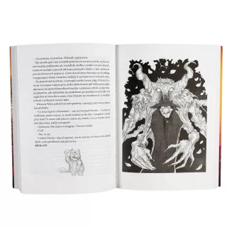 Dunder albo kot z zaświatu - wygląd 