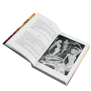 Dunder albo kot z zaświatu - wygląd 