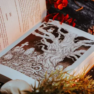 Dunder albo kot z zaświatu - wygląd 