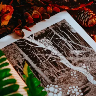 Dunder albo kot z zaświatu - wygląd 