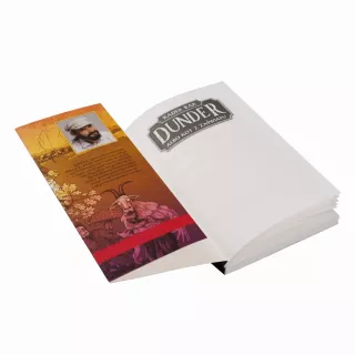 Dunder albo kot z zaświatu - wygląd 