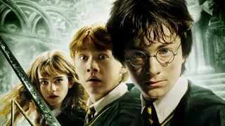 2. Harry Potter i Komnata Tajemnic (2002). Różnica: 689 (kobiety - 142., mężczyźni - 831.)
