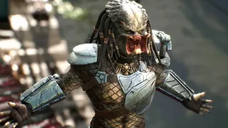 Predator – 2,43 m