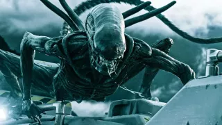 Ksenomorf (Obcy) – 2,54 m