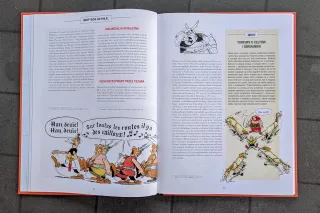 Asterix i Goci