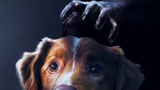 16. Good boy