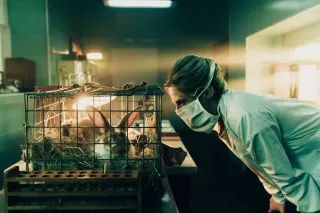 Czarna śmierć - oficjalne zdjęcie z serialu Telewizji Polskiej