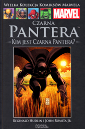 Czarna Pantera: Kim jest Czarna Pantera?